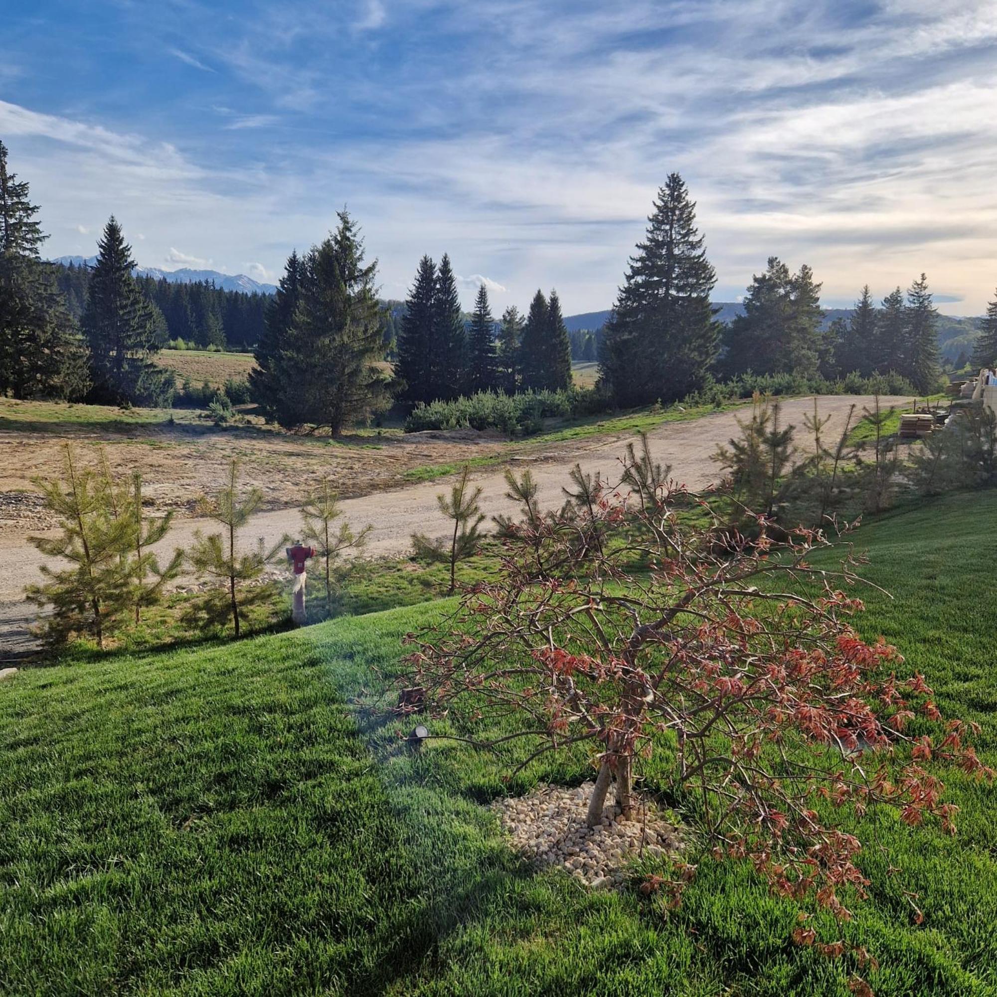 Albert Residence Aparthotel Grand Chalet With Free Spa Access To Alpin Resort Poiana Brasov Exterior photo