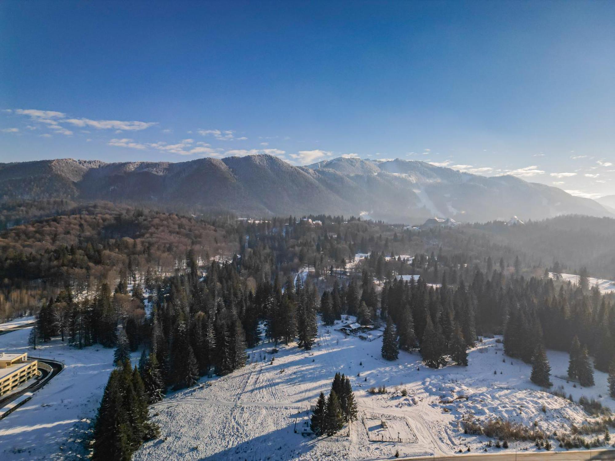 Albert Residence Aparthotel Grand Chalet With Free Spa Access To Alpin Resort Poiana Brasov Exterior photo